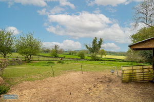 Paddock- click for photo gallery
